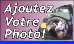 Housse De Roue De Secours Personnalisable - Choisis Ta Photo Et Texte - Imperméable, Taille Ajustable Pour SUV, Camion, Remorque